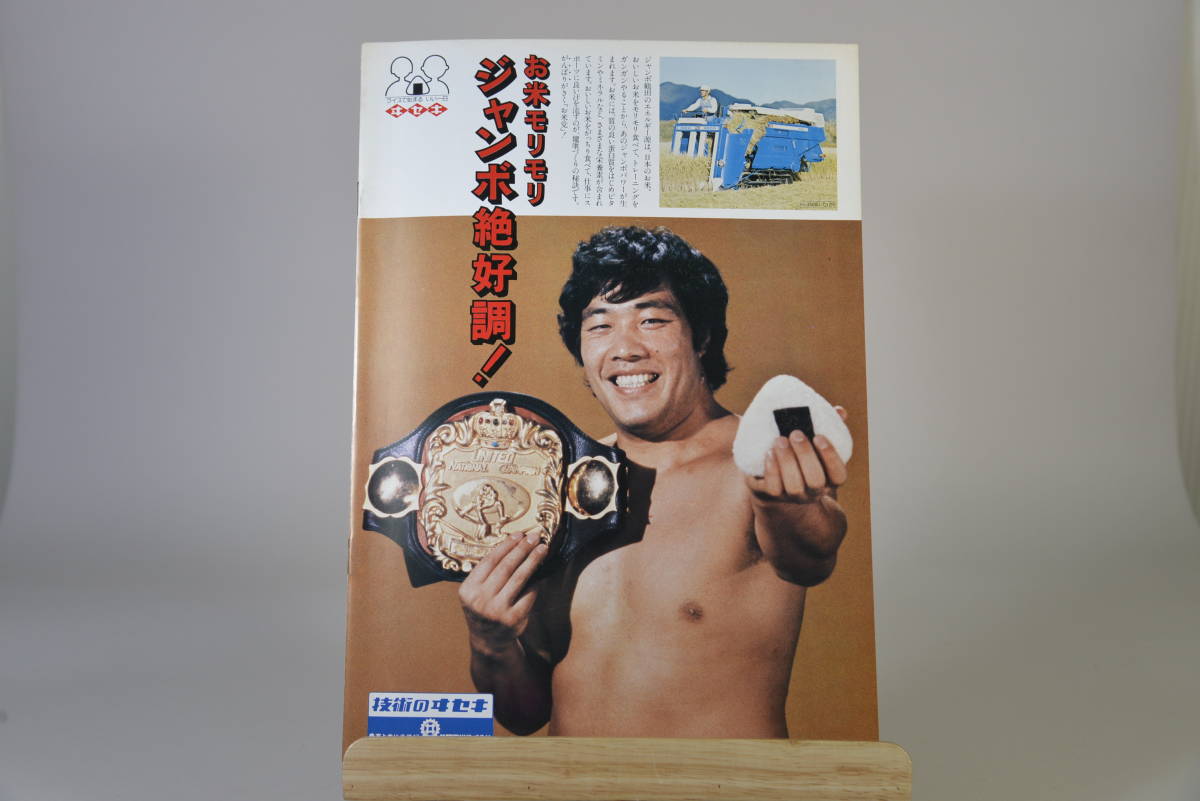 全日本プロレス 1980年 第8回チャンピオンカーニバル パンフレット の画像9