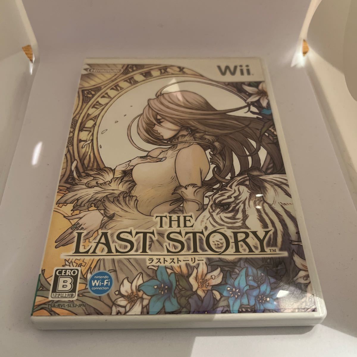 Wii ラストストーリー_画像1