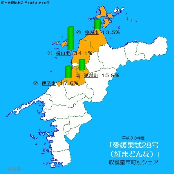 全国送料無料　紅まどんなと同じ品種　愛果28号　傷が多い家庭用　Mサイズ　2kgくらい？　愛媛中島産　⑨_画像5