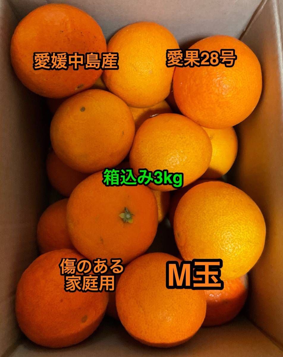 全国送料無料　紅まどんなと同じ品種　愛果28号　Mサイズ　箱込み3kg　愛媛中島産　⑤_画像1