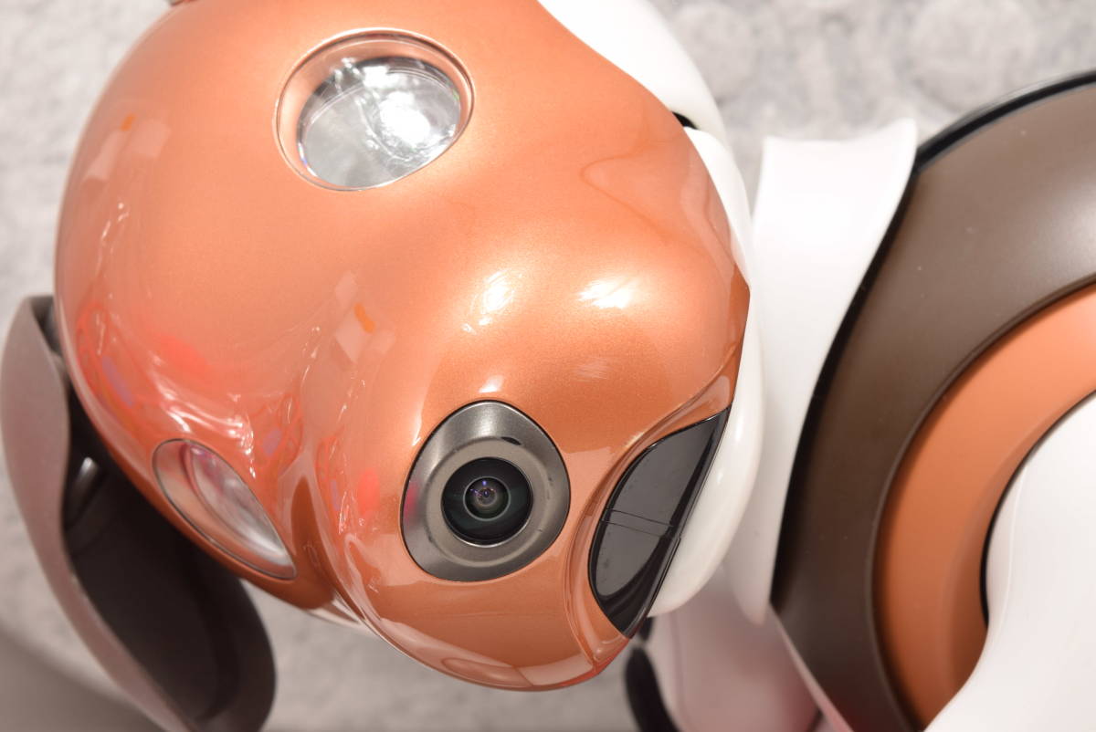 SONY アイボ ERS-1000 チョコエディション 限定モデル ・ボール レア aibo 犬型 ロボット ペットの画像2