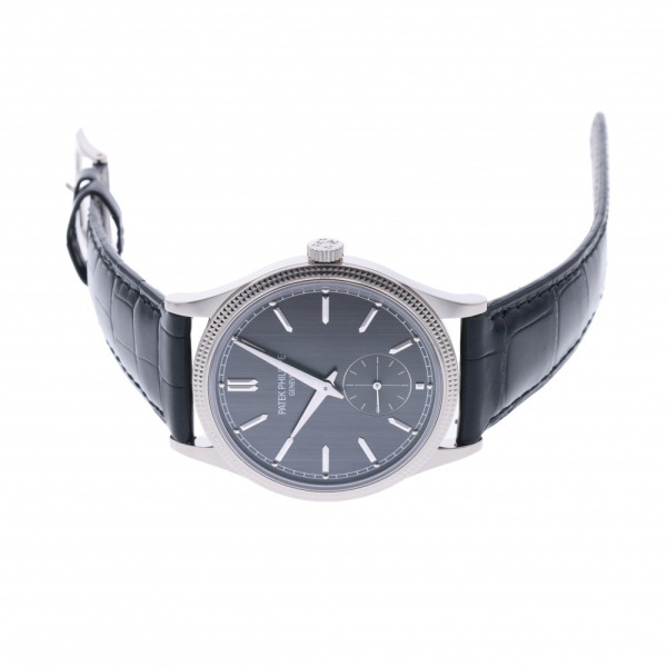 Patek * Philip PATEK PHILIPPE Calatrava 6119G-001 gray face new goods wristwatch men's 