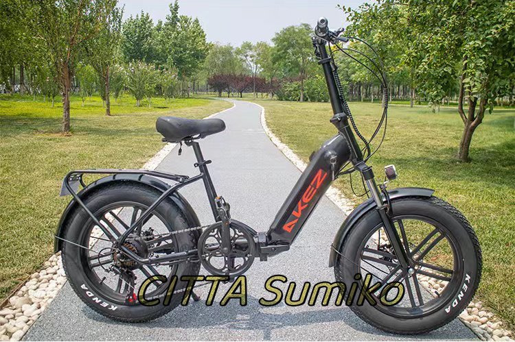 極上品 高品質 20x4.0インチ レトロな電動自転車 48v 500w 10.4Ah 40km リチウム電池 モトクロス