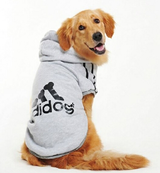 大型犬★adidog★5XL★ドッグウェア★犬服★ ペット服の画像3