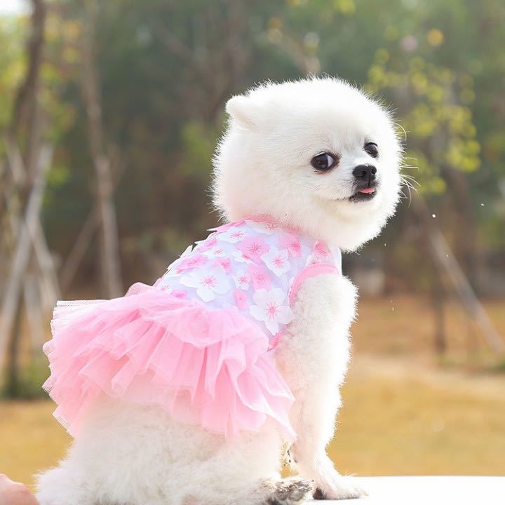 【お花いっぱい】犬服　ドッグウェア　ペット　猫　犬　ワンピース　ドレス　かわいい　ピンク　Mサイズ_画像5