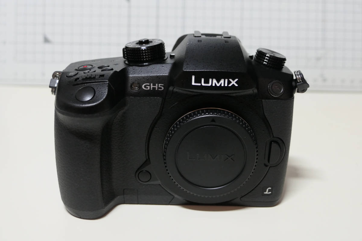 RD-SPM049（LUMIX GH5 業務用）本体、バッテリーチャージャー、純正バッテリー付き_画像1