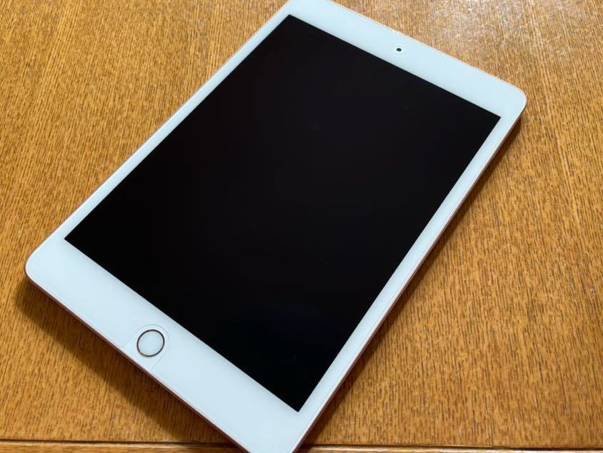 iPad mini 第5世代　wi-fi 64GB ゴールド　新品同様_画像9