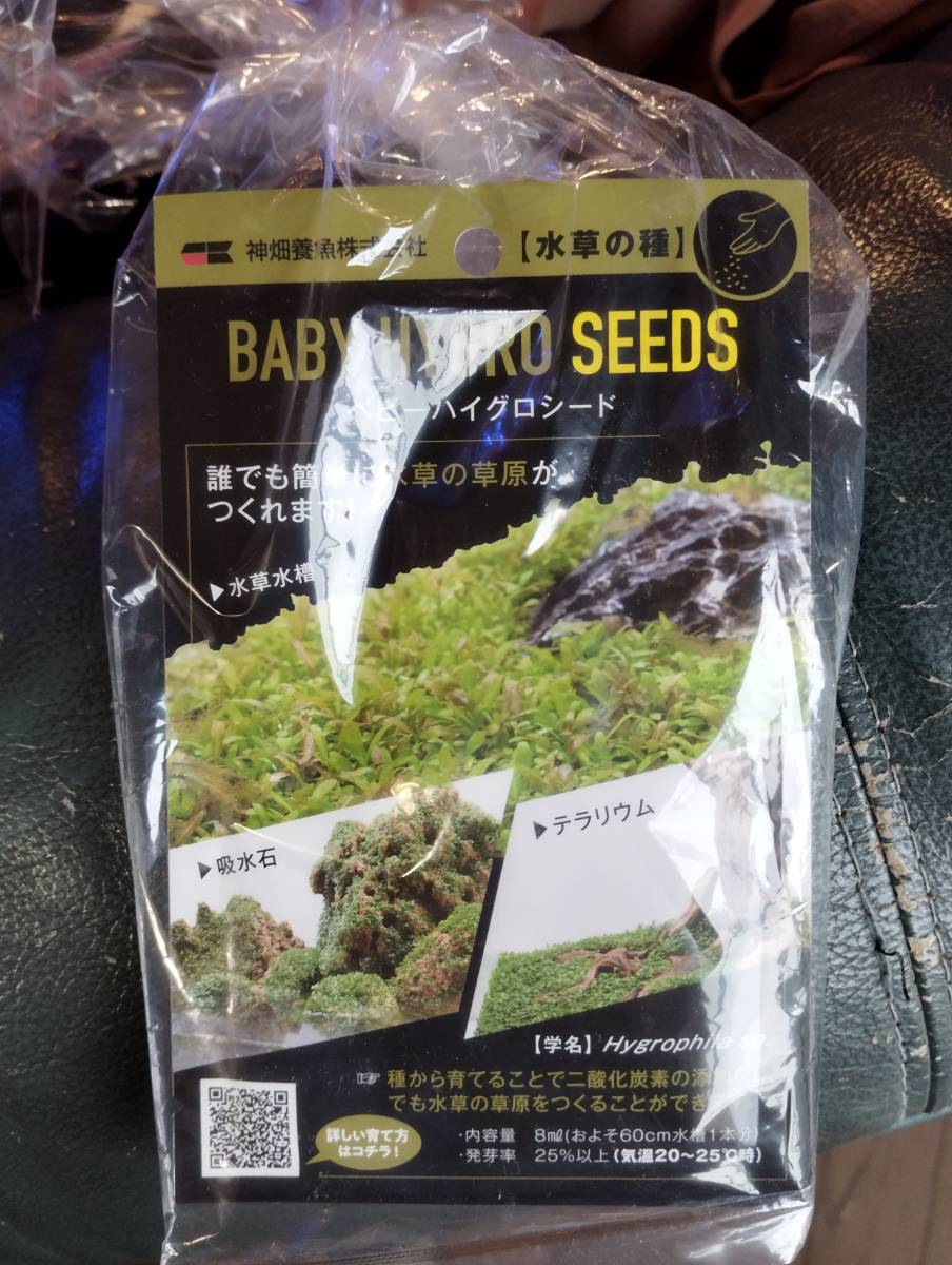 神畑 カミハタ ベビーハイグロシード BABY HYGRO SEEDS 水草の種 水草の草原 の画像1