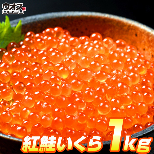 最安値挑戦！ いくら 醤油漬け 500g×2パック 計1kg 粒は小さいけど味は抜群！ 紅鮭 イクラ 贈答 いくら丼 お正月 お歳暮 年末年始_画像1