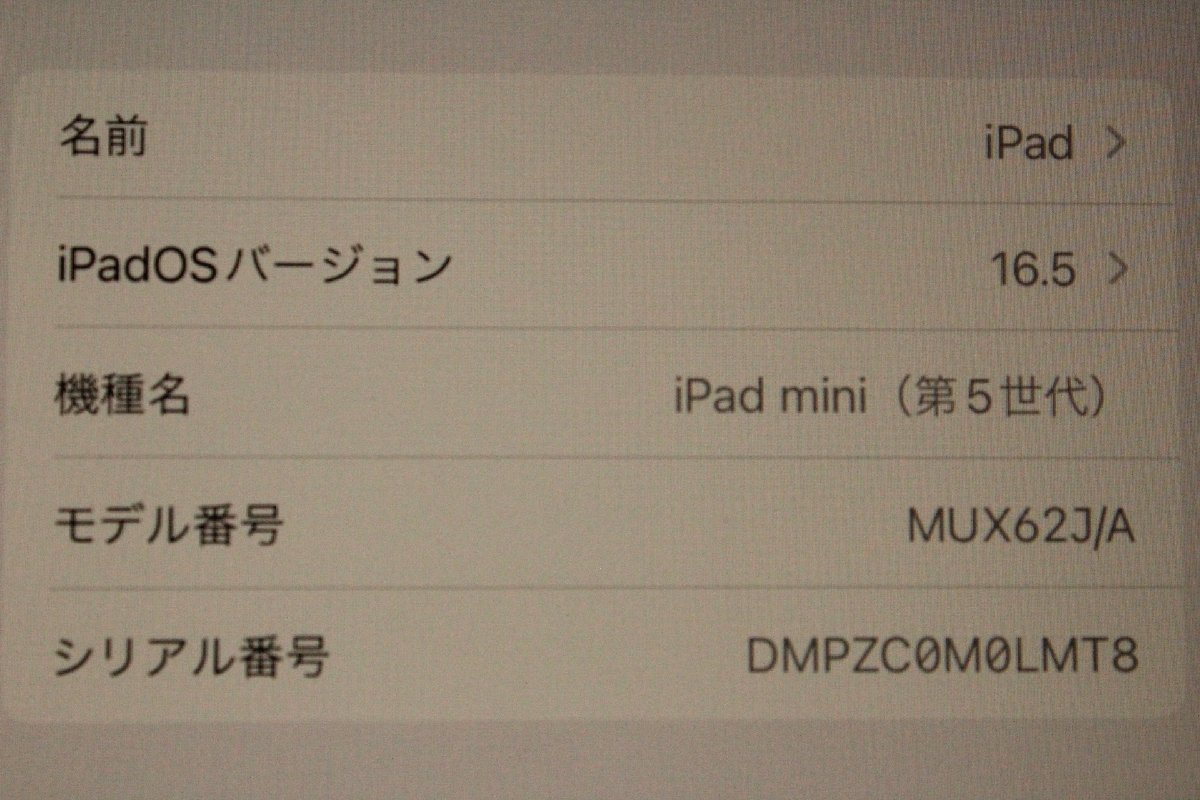 ■Apple■ iPad mini 第5世代 Wi-Fi+Cellular 64GB シルバー au/KDDI [MUX62J/A]_画像3