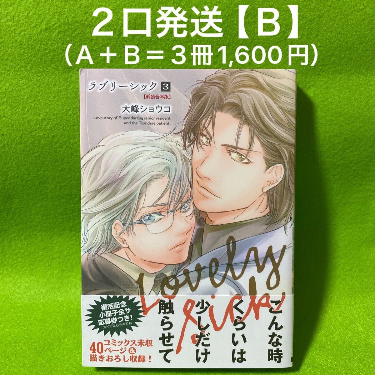 商業ＢＬコミック　１冊【２口発送のためＡとＢの両方をご購入ください。】