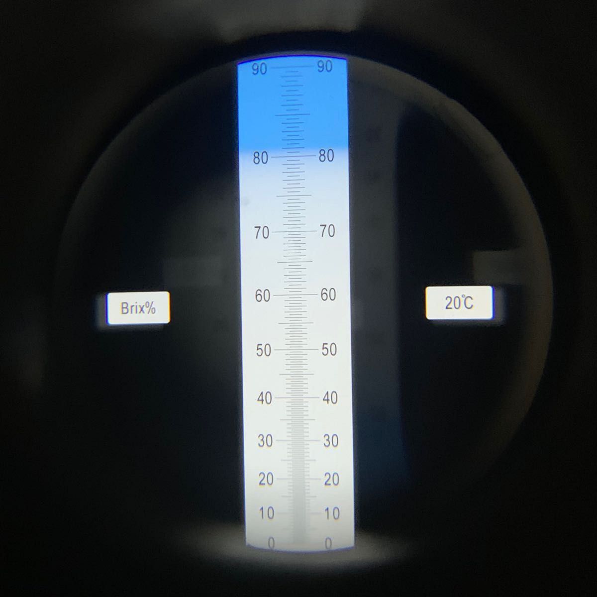 【数量限定販売】 国産 生はちみつ 120g クリーム蜜 希少 結晶蜜