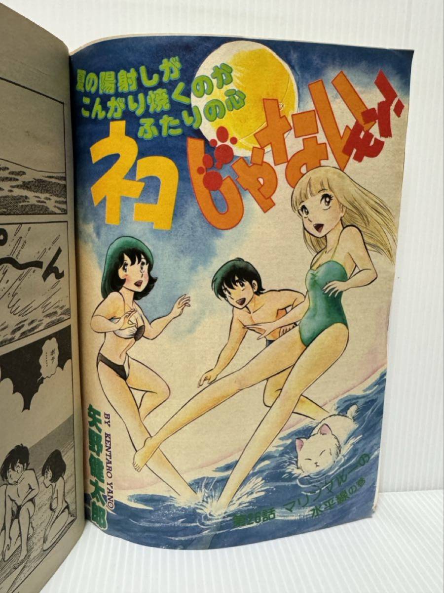 週刊 ヤングジャンプ 1928/8/5号 No.33★わたしの沖田くん/ネコじゃないモン/ハーロックとともにありき/ふらり極道 新連載/北原佐和子/_画像4