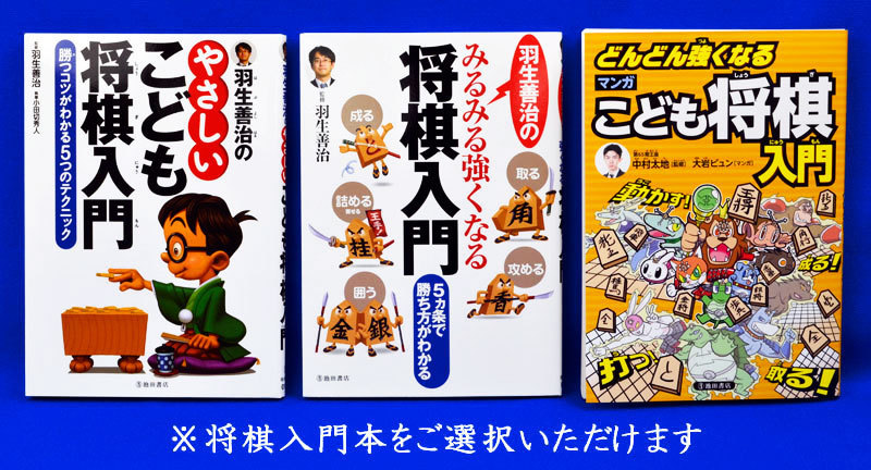 木製将棋入門セット 銀 新桂2寸足付将棋盤/白椿上彫駒/駒台/将棋入門本（1冊選択）_画像2