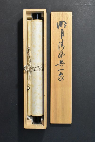 K2837 真作 立花大亀「明月清風共一象」紙本 共箱 肉筆 書 臨済宗 大徳寺塔頭 徳禅寺長老 中国 書画 絵画 古画 掛軸 仏教美術_画像9