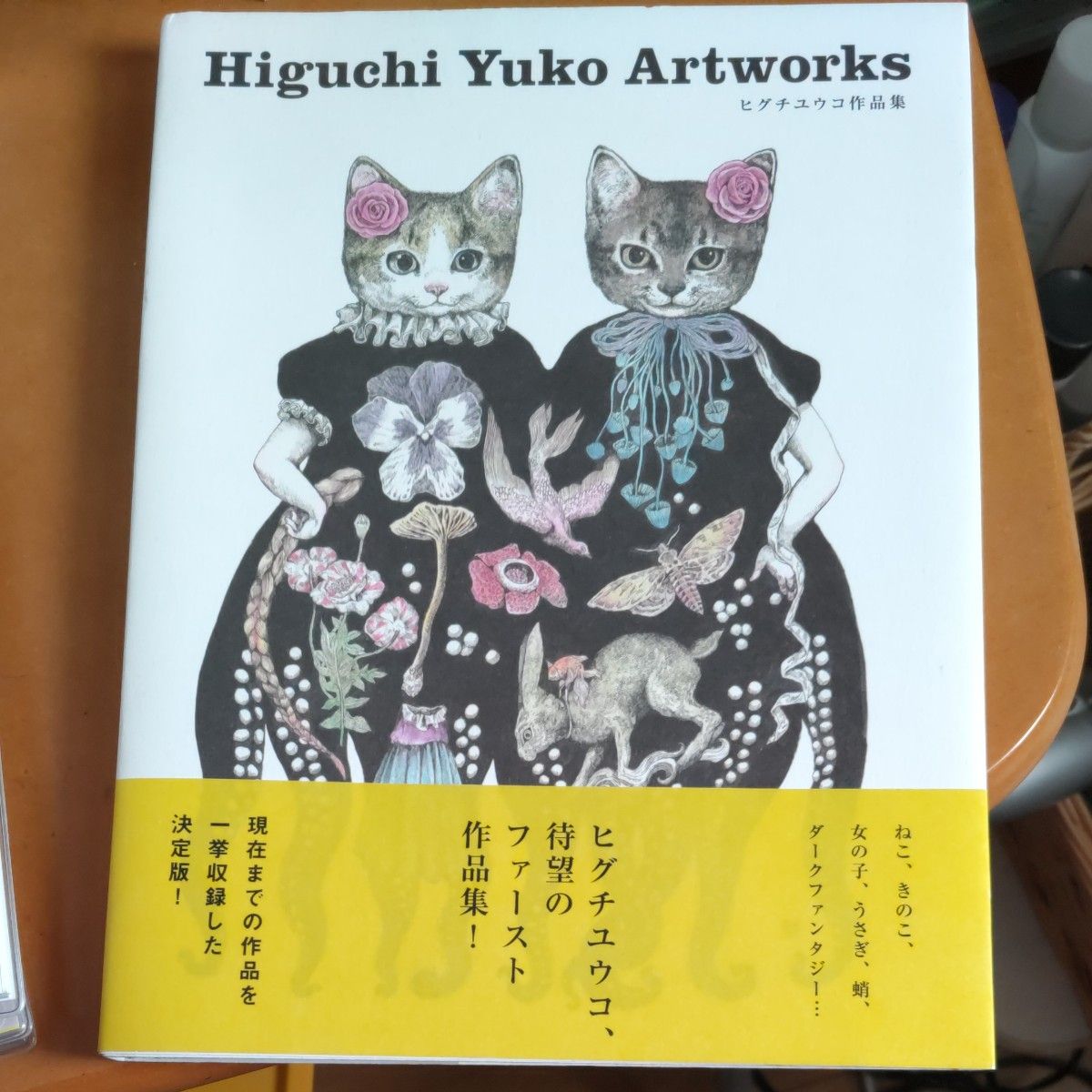 Higuchi Yuko Artworks ヒグチユウコ 作品集｜Yahoo!フリマ（旧