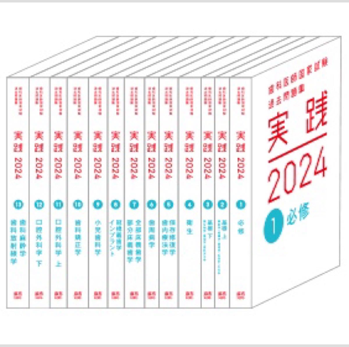 実践 2024 全13巻セット 美品 実践2024 13巻セット麻布デンタルアカデミー