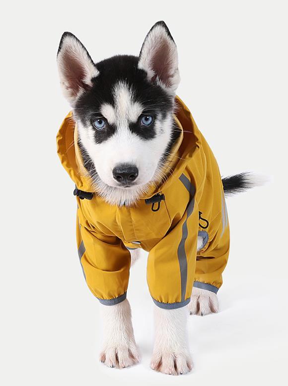  собака плащ . способ .. защита от дождя . сезон дождей меры шляпа имеется прогулка для легкий собака для непромокаемая одежда собака для Macintosh собака Kappa собака одежда X537