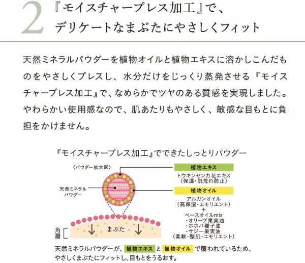 【送料無料 未使用】ナチュラグラッセ アイカラーパレット 01 ナチュラルブラウン チップ付き_画像3