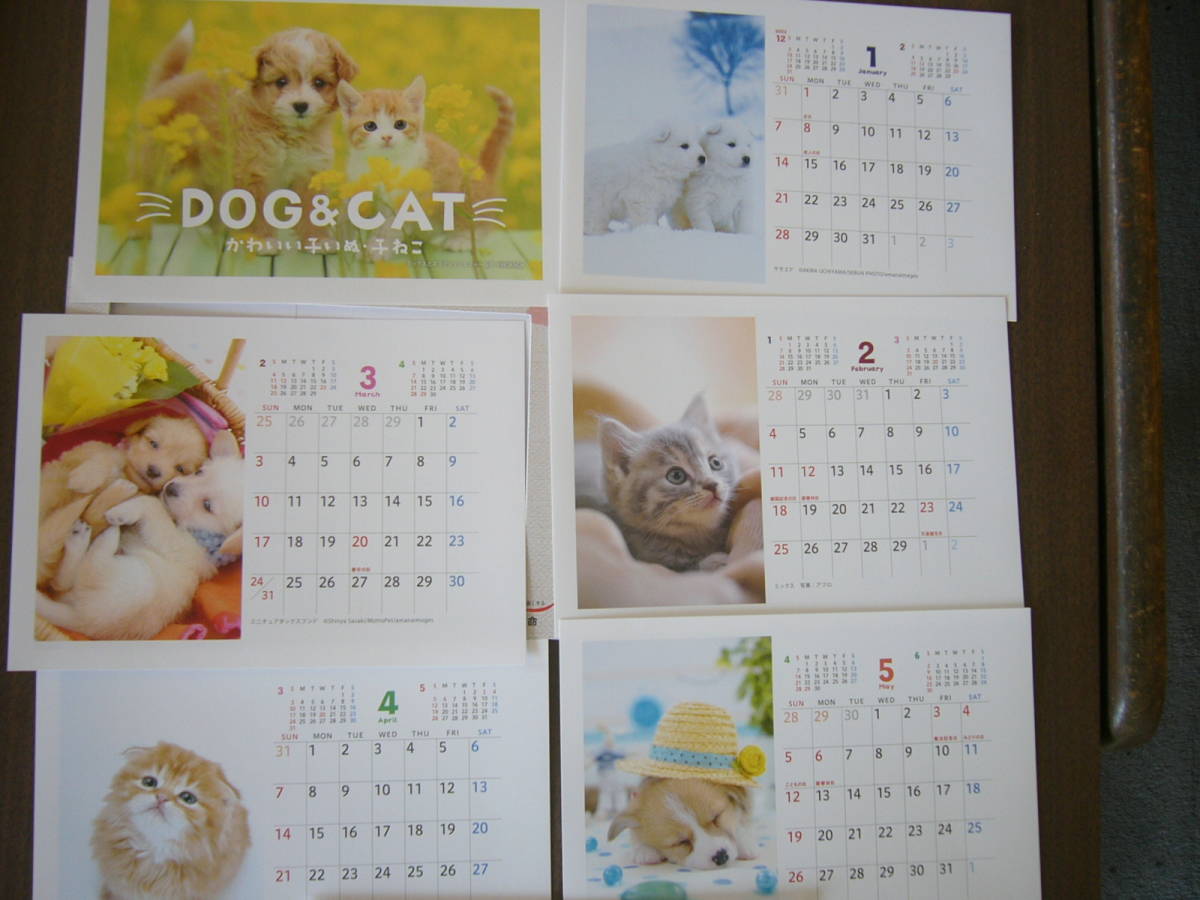 カレンダー 2024（令和６年）動物　セット/「DOG＆CAT/かわいい子いぬ・子ねこ/住友生命」＋ 「2024 calendar cat」 /ノベルティ_画像3