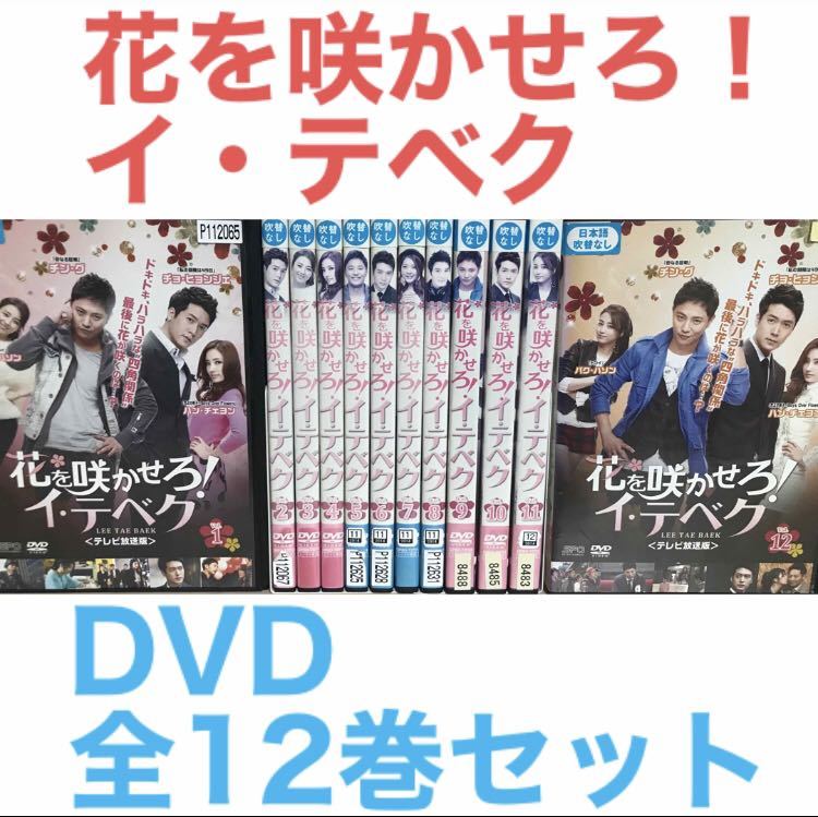 韓国ドラマ『花を咲かせろ！イ・テベク』DVD 全12巻セット　全巻セット　韓流