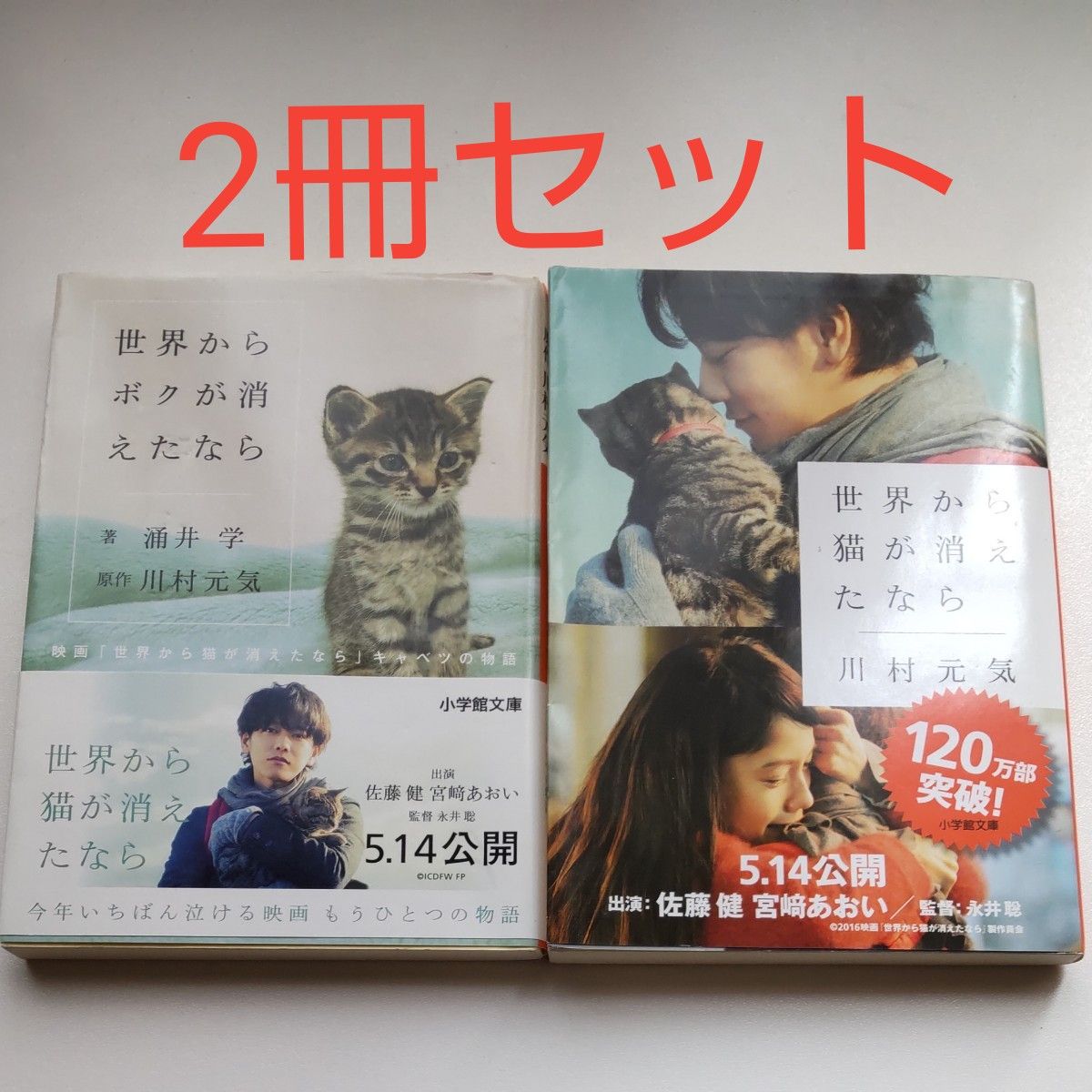 世界からボクが消えたなら　映画「世界から猫が消えたなら」キャベツの物語 （小学館文庫　わ９－１３） 川村元気／原作　涌井学／著