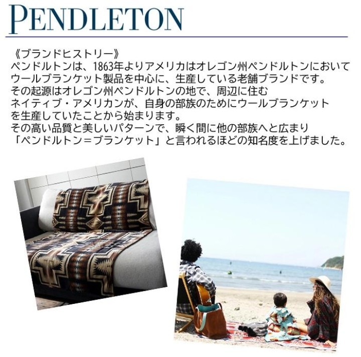 【新品】PENDLETONペンドルトン●エナメルプレート ホーロー皿ディッシュプレート●ハーディングアイボリー●2530円●アマゾン以下キャンプ_画像8