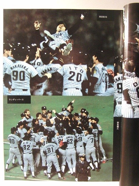 ’85阪神タイガース130試合全記録 優勝記念保存版◆週刊サンケイ1985年12月1日号特別増刊_画像3