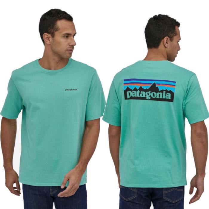 patagonia Tシャツ P-6 Logo Organic T-Shirt オーガニック　Light Beryl Green ライトベリルグリーン　LBYG Lサイズ　パタゴニア_画像1