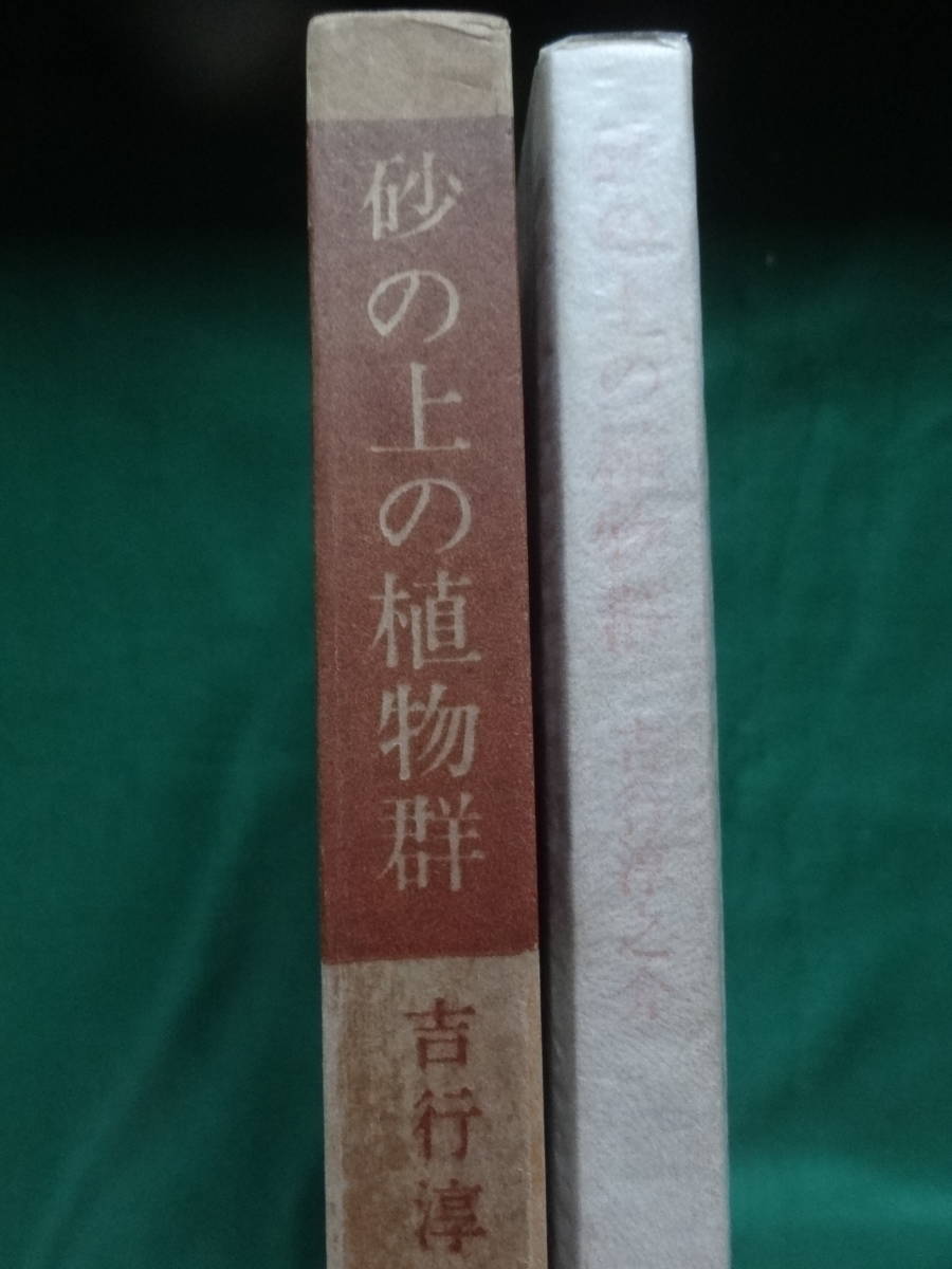 砂の上の植物群 ＜長篇小説＞　吉行淳之介 昭和39年 文藝春秋新社　初版　帯付　日活映画化　中平康:監督_画像2