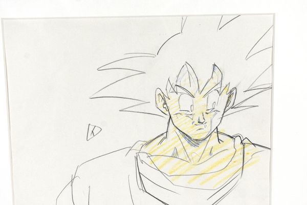 動画額「ドラゴンボールZ 孫悟空」2 動画 18.5×23.7 F:38×45.5 動画額「ドラゴンボールZ 孫悟空」2 動画 18.5×23.7 F:38×45.5