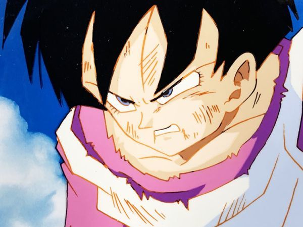 セル画額「ドラゴンボールZ ビーデル」 セル画 背景コピー付 19 セル画額「ドラゴンボールZ ビーデル」 セル画 背景コピー付 19
