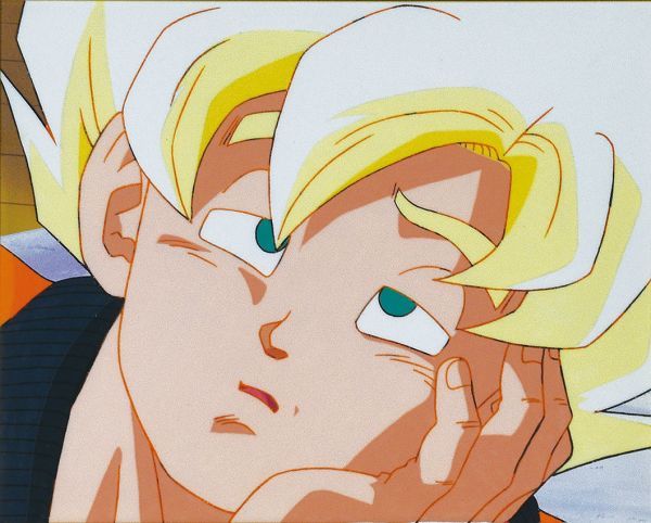 Yahoo!オークション - 「ドラゴンボールZ 孫悟空」セル画額 背景 Yahoo!オークション - 「ドラゴンボールZ 孫悟空」セル画額 背景
