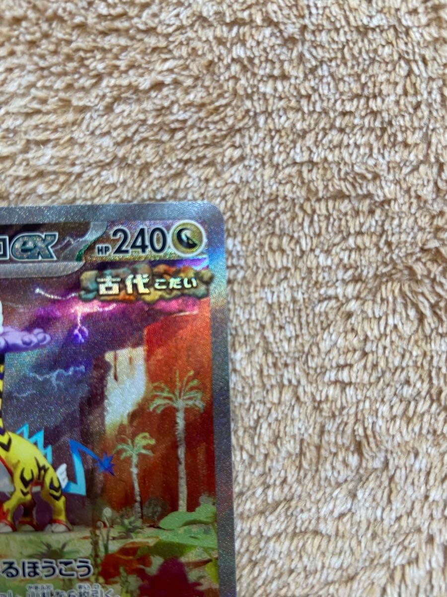 ポケモンカード タケルライコex SAR RR 2枚セット ワイルド ポケモンカード タケルライコex SAR RR 2枚セット ワイルド