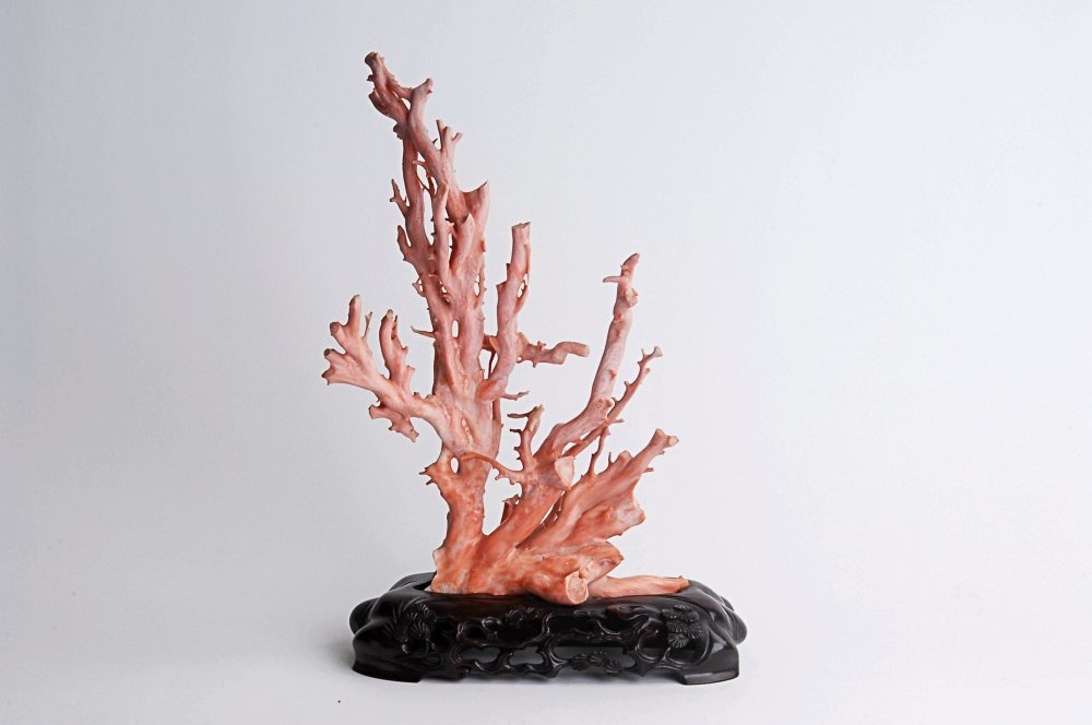 桃珊瑚　枝サンゴ置物　台付　高さ３５．５cm　重さ１１６９ｇ（台座含む）