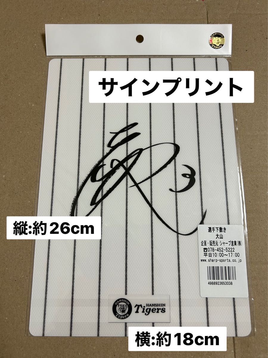 有名選手 サイン入り下敷き 有名選手 サイン入り下敷き 有名選手 サイン入り下敷き - メルカリ