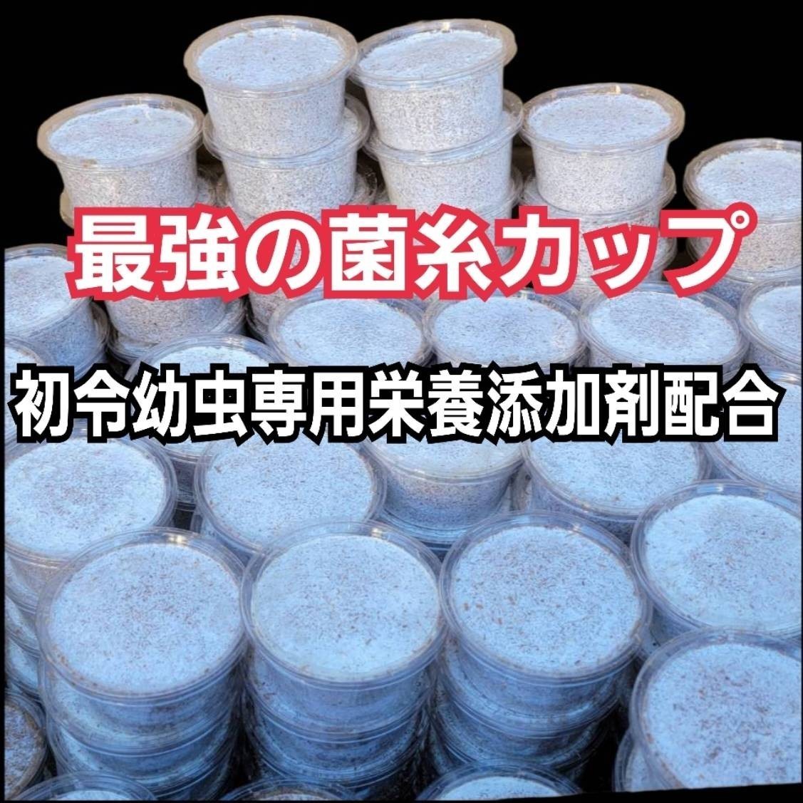 特選！ヒマラヤひらたけ菌糸カップ120ml　初令、2令幼虫専用栄養添加剤配合！　オオクワ、ニジイロ、ヒラタ、ノコギリ、シカ、フタマタに！_画像1