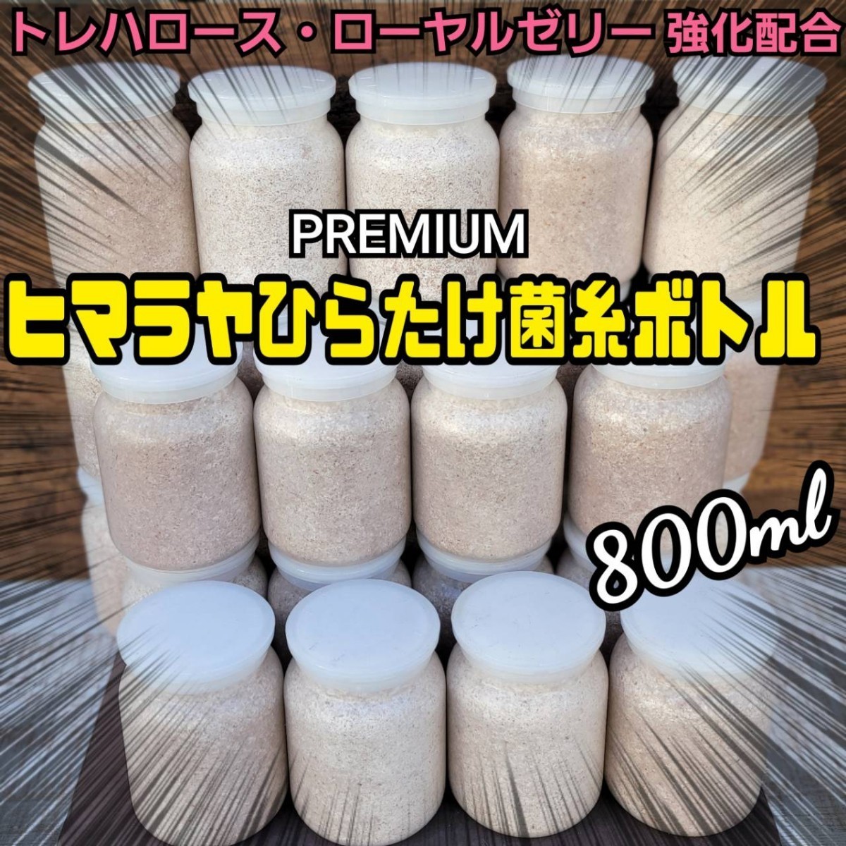 極上！ヒマラヤひらたけプレミアム菌糸瓶【800ml 】トレハロース・ローヤルゼリー・キトサン強化配合　ニジイロクワガタ、オオクワにお薦め_画像3