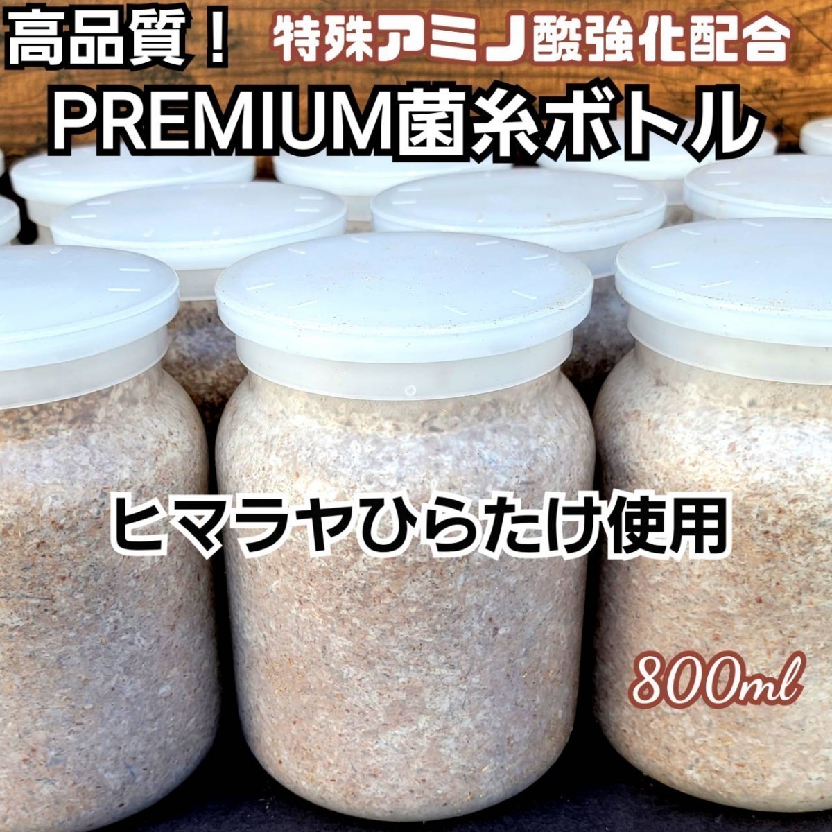 極上！ヒマラヤひらたけプレミアム菌糸瓶【800ml 】トレハロース・ローヤルゼリー・キトサン強化配合！ニジイロクワガタ、オオクワにお薦め_画像3