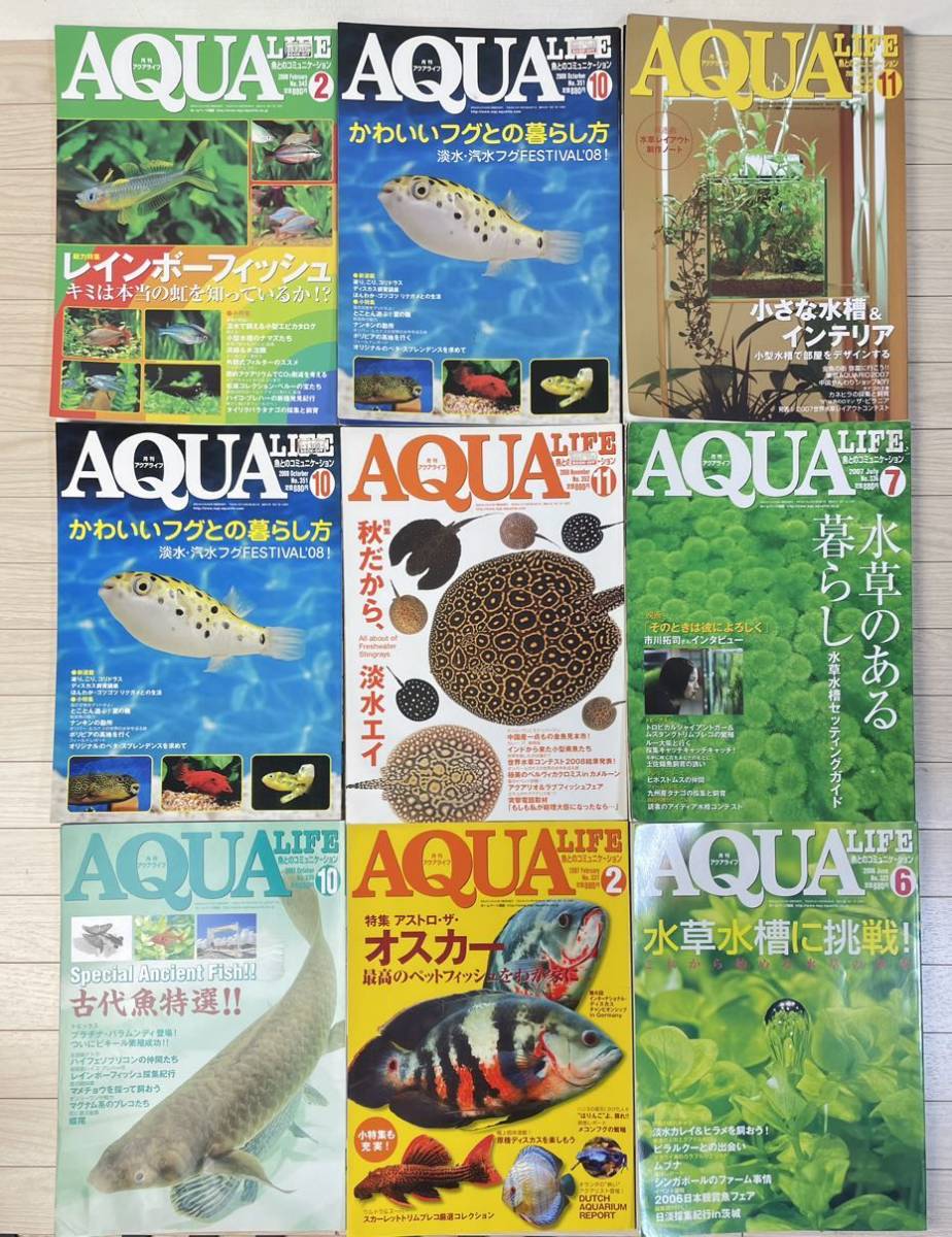 AQUA LIFE 月刊 アクアライフ 2000年～2012年 不揃い 40冊 以上 アロワナ アクアリウム 淡水エイ スネークヘッド 金魚 レッドビー 巨大魚の画像4