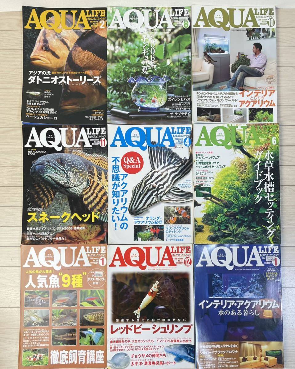 AQUA LIFE 月刊 アクアライフ 2000年～2012年 不揃い 40冊 以上 アロワナ アクアリウム 淡水エイ スネークヘッド 金魚 レッドビー 巨大魚の画像5