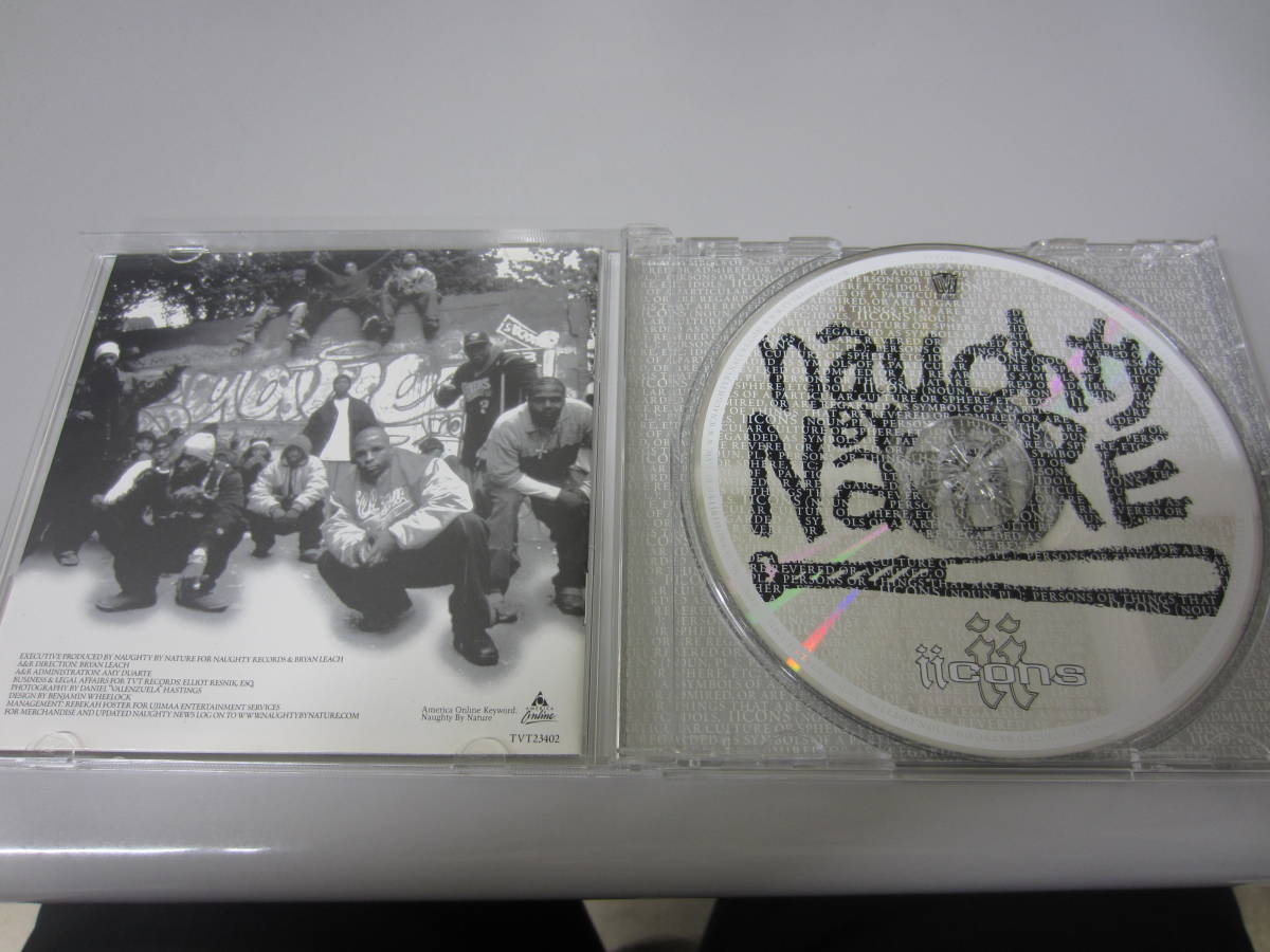 Naughty By Nature/ノーティ・バイ・ネイチャー/Iicons US盤CD ヒップホップ ラップ The New Style Zulu Nation PINK 3LW Queen Latifahの画像2