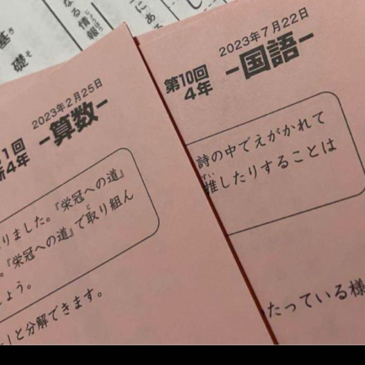 最新 日能研 4年 2023年度 学習力育成テスト 前期セット 最新版 最新 日能研 4年 2023年度 学習力育成テスト 前期セット 最新版