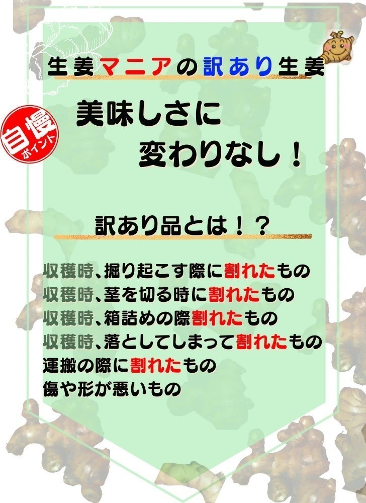 農家直送！土佐の大生姜4㎏ 訳あり品 高知県産　美味しさに変わりなし！小さいので料理に使いやすいです！_画像3