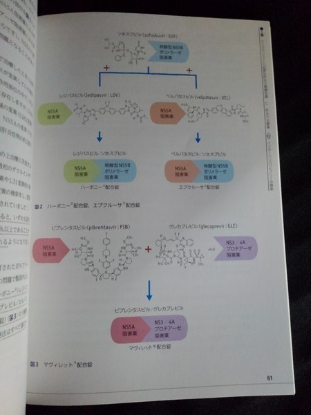 [11246]あなたも名医! 肝炎 どう診る？どう治す？ 平松直樹 問診 ウイルス性 自己免疫 血液検査 感染症 薬の内服 医療 医学 診断 治療 予防_画像3