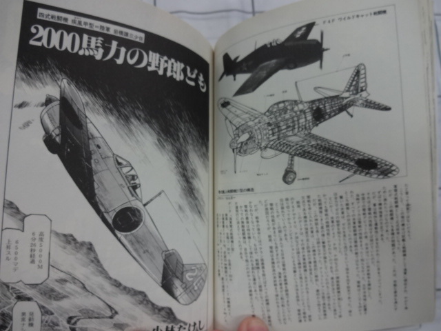  futoshi flat . day rice aviation military history shining .. heaven. Ace row . comics Homme ni Pas on rice field confidence Kobayashi ... Junk fighter (aircraft) Zero war purple electro- modified 