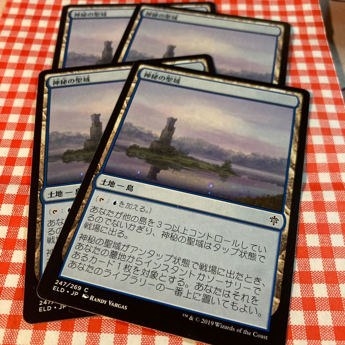 MTG 神秘の聖域 エルドレイン edh パイオニア 数量分_画像1