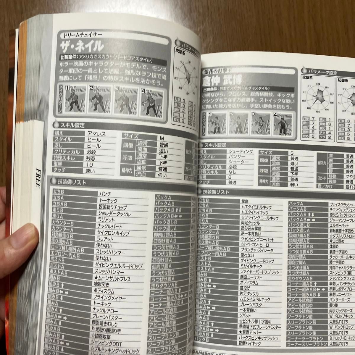 ファイナルファイヤープロレスリング夢の団体運営アルティメット ファイナルファイヤープロレスリング夢の団体運営アルティメット