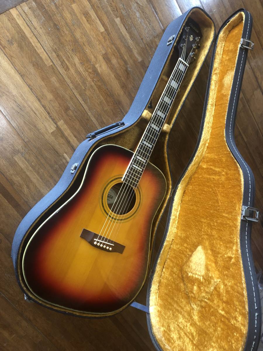 レアEpi GAZEBO D-40S Epiphone 希少　ギター