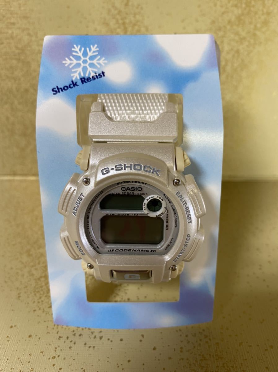 23. 1円スタート　G-SHOCK 腕時計 CASIO カシオ DW-8800AJ-7AT_画像1
